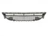 Grille Assembly:213 885 69 00
