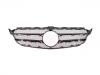 Grille Assembly:205 888 00 23